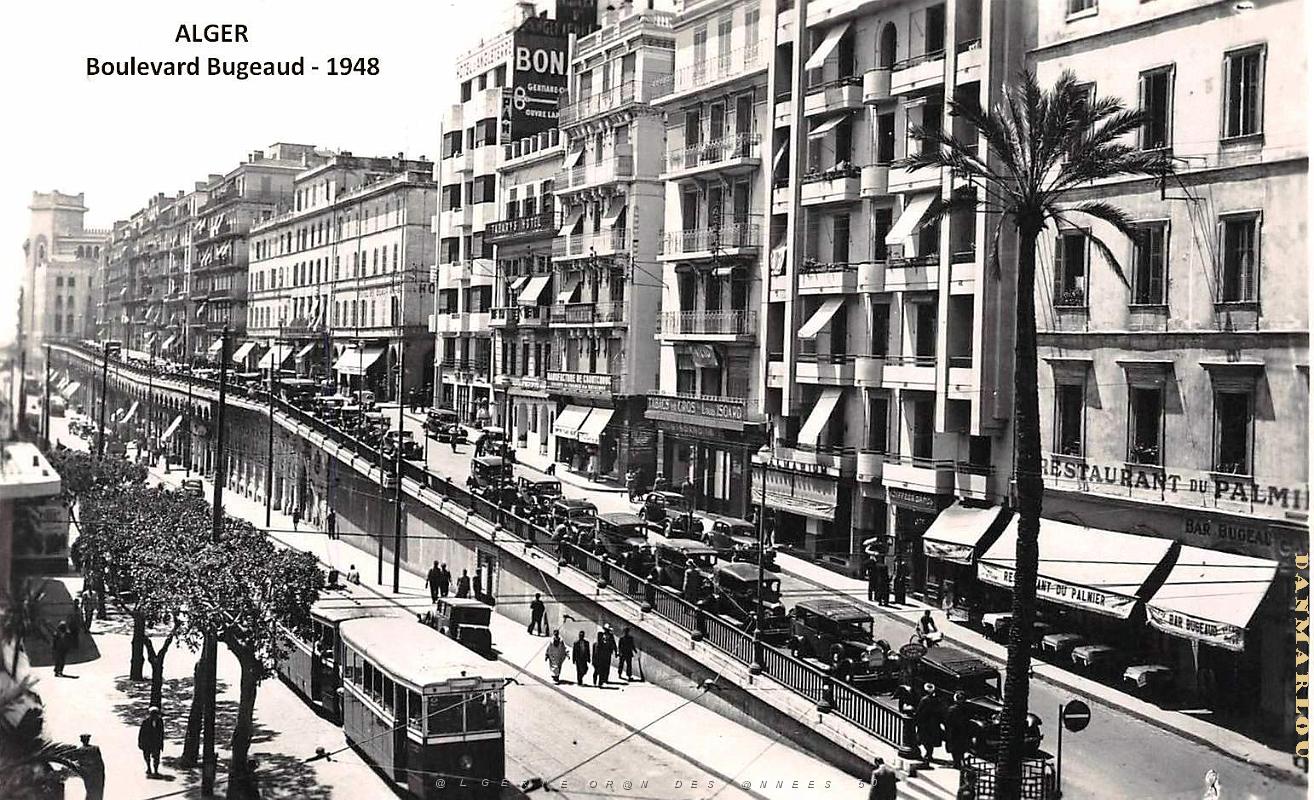 Alger - Boulevard Bugeaud - 1948.jpg